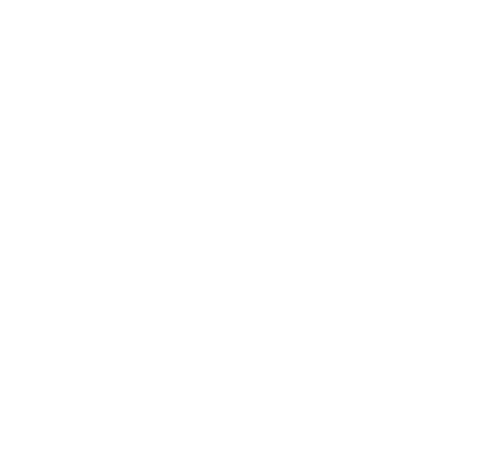 Consultation Icon