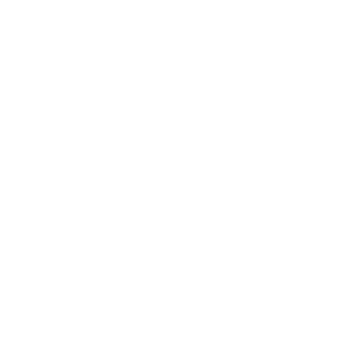 Consultation Icon